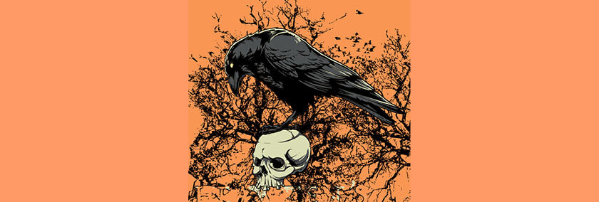 An illustration of a crow on top of a skull on the ground.